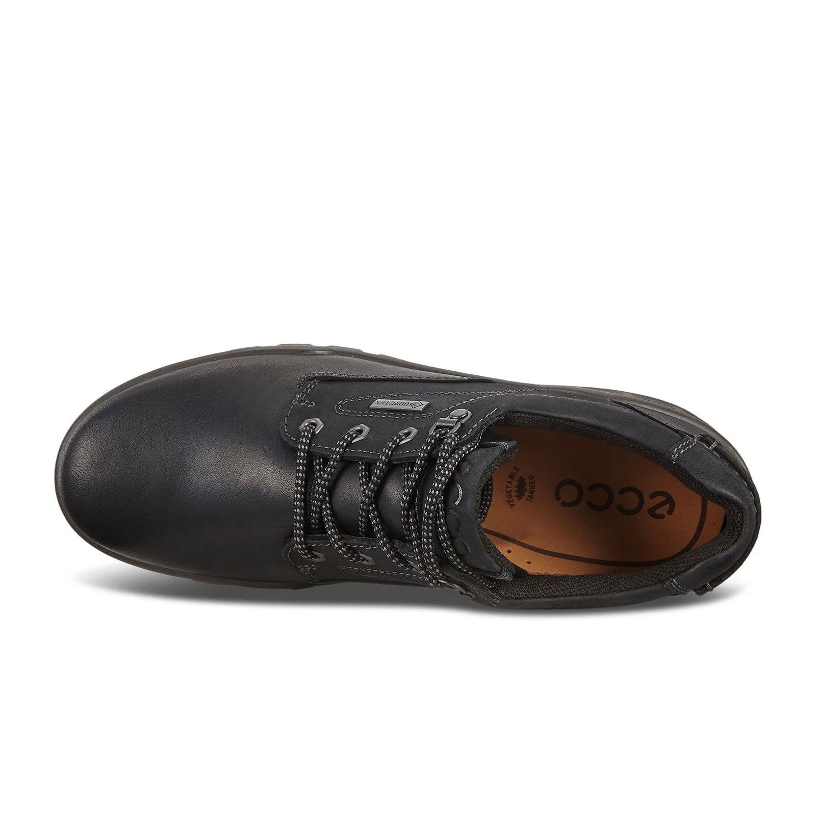 ECCO Track 25 Low Plain Toe Hiking Shoe (Men) - Black/Black