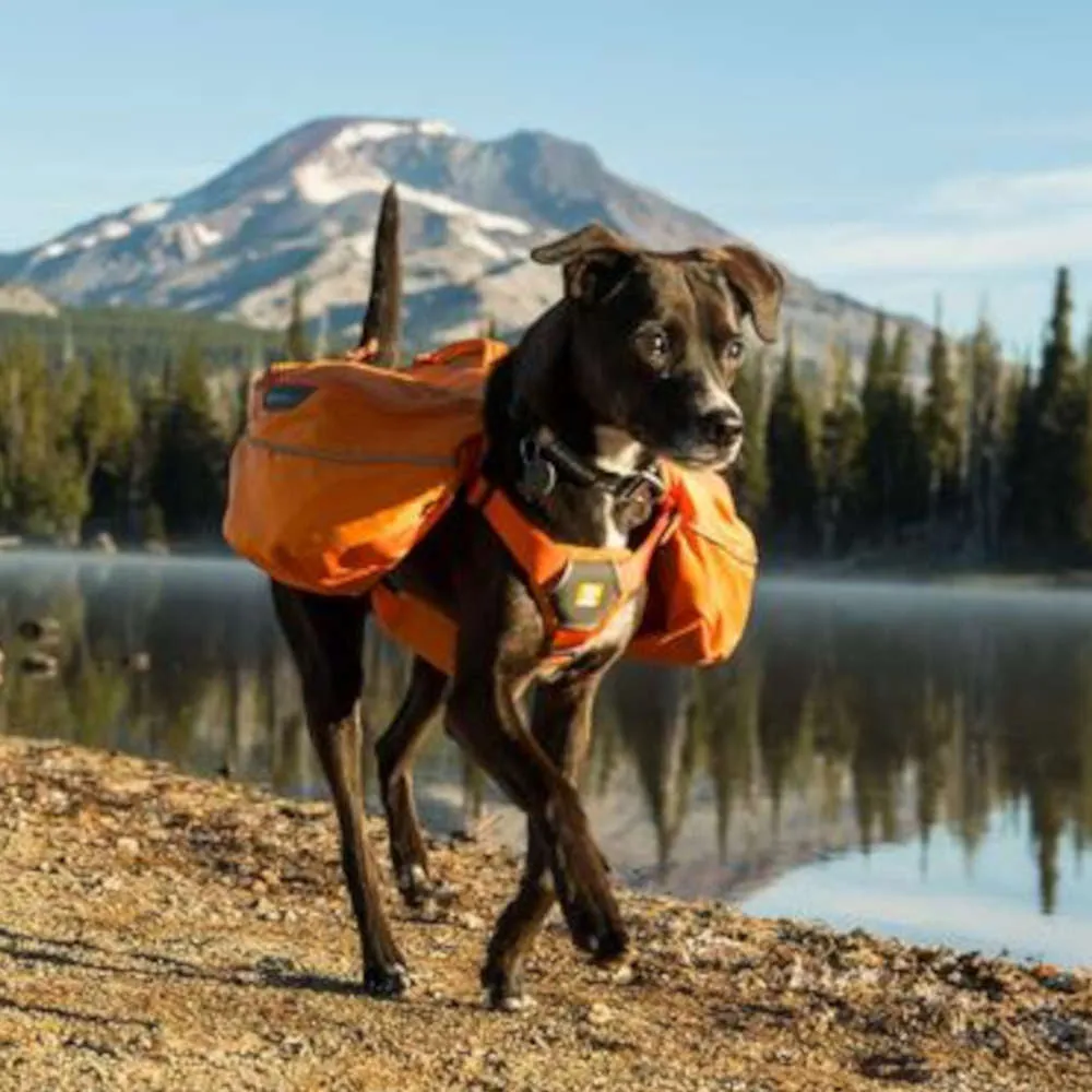 Ruffwear Approach Full Day Pack Handled Dog Harness