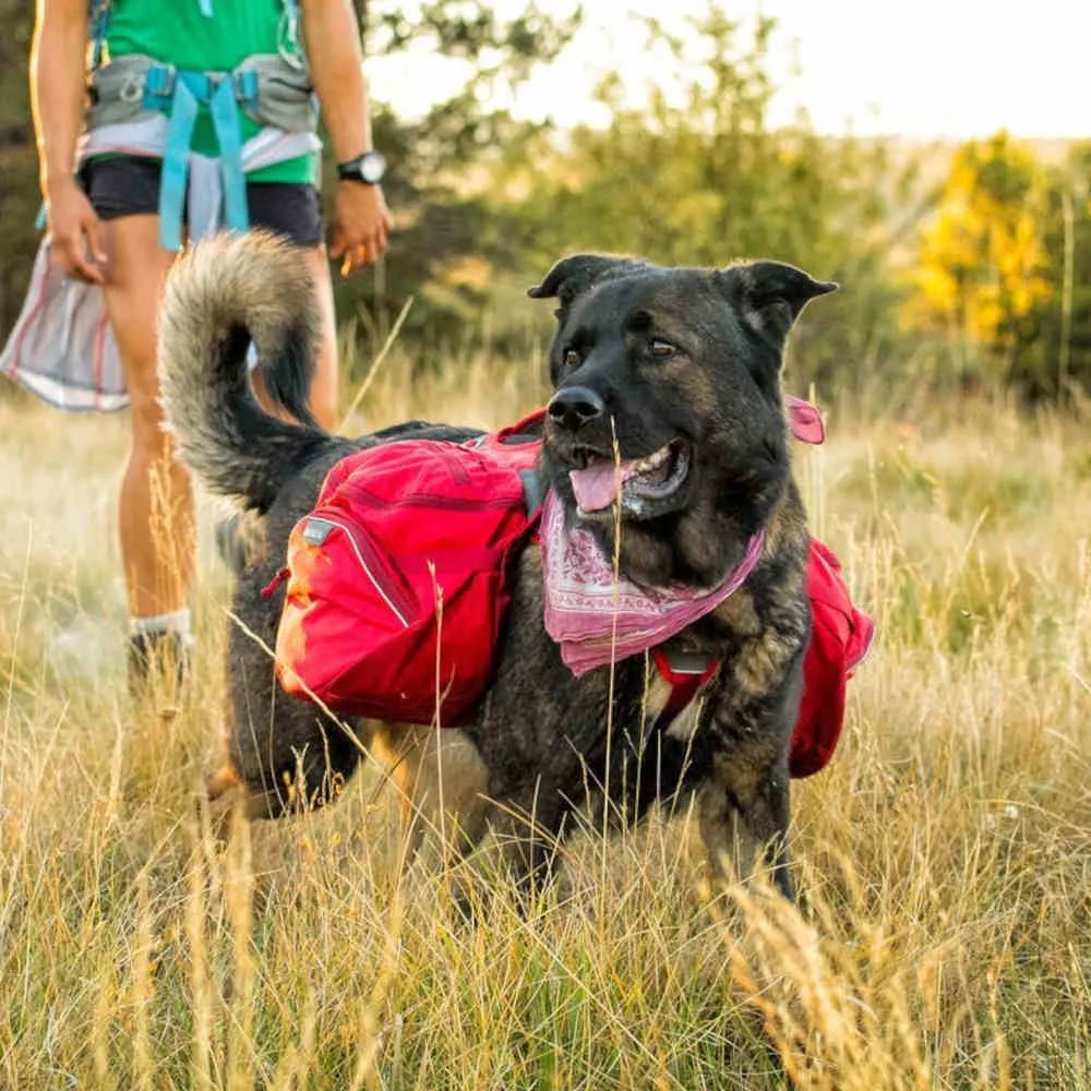 Ruffwear Palisades Multi-Day Hydration Pack Removable Handled Dog Harness